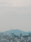프로필 사진