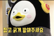 프로필 사진