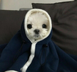 프로필 사진