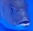 프로필 사진