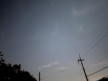 프로필 사진