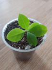 프로필 사진