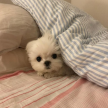 프로필 사진