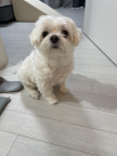 프로필 사진