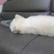 프로필 사진