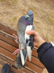 프로필 사진