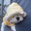 프로필 사진