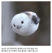 프로필 사진