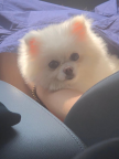 프로필 사진
