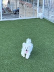 프로필 사진