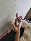 프로필 사진