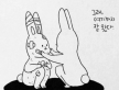 프로필 사진
