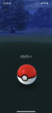 프로필 사진