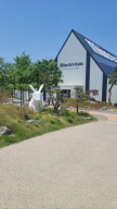 프로필 사진