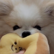 프로필 사진