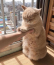 프로필 사진