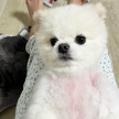 프로필 사진