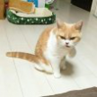 프로필 사진