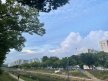 프로필 사진