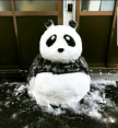 프로필 사진
