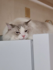 프로필 사진