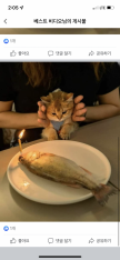 프로필 사진