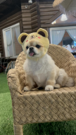 프로필 사진