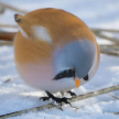 프로필 사진