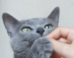 프로필 사진