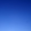 프로필 사진