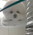 프로필 사진