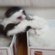 프로필 사진