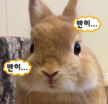 프로필 사진