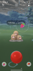 프로필 사진