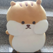 프로필 사진