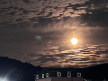 프로필 사진