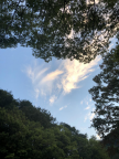 프로필 사진