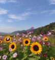 프로필 사진