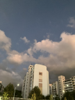 프로필 사진