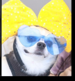 https://thecheat.co.kr/fs_sbl/member/2022/10/13/848d2e080ea4687ae4bd3d3861131b94.png