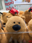 프로필 사진
