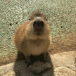프로필 사진