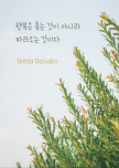 프로필 사진