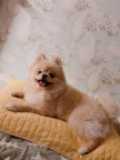 프로필 사진