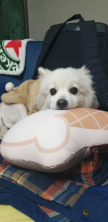 프로필 사진