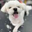 프로필 사진