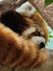 프로필 사진