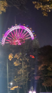 프로필 사진