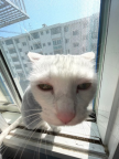 프로필 사진