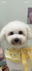 https://thecheat.co.kr/fs_sbl/member/2022/12/01/e5726f5c66999d7f26cfaf304f7f4742.png